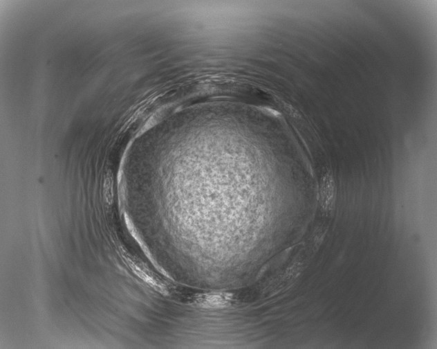 X0000085740474200703301433