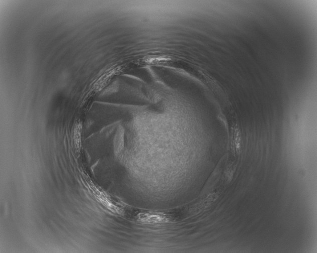 X0000085740475200703301433