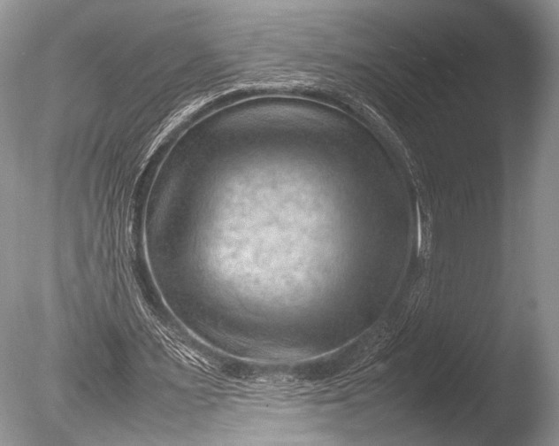 X0000085740483200703301432