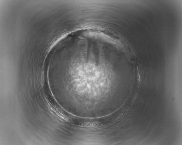 X0000085740488200703301432