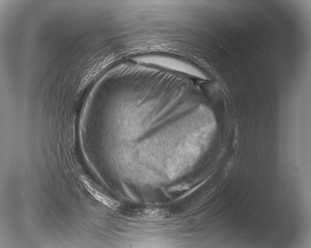 X0000085740493200703301432