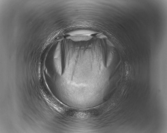 X0000085740494200703301432