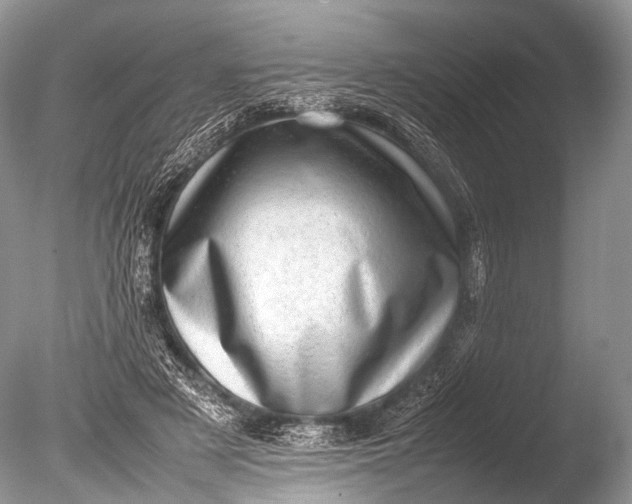 X0000085740497200703301432