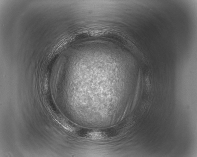 X0000085740499200703301432