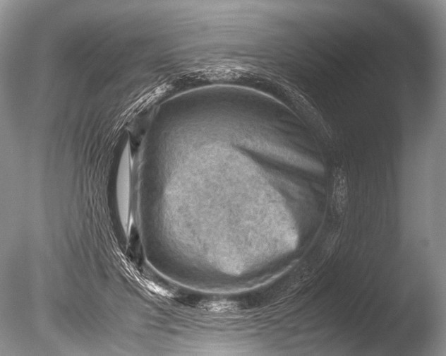 X0000085740501200703301432