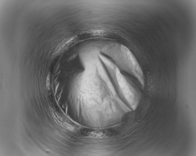 X0000085740502200703301432