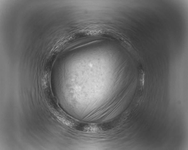 X0000085740503200703301432