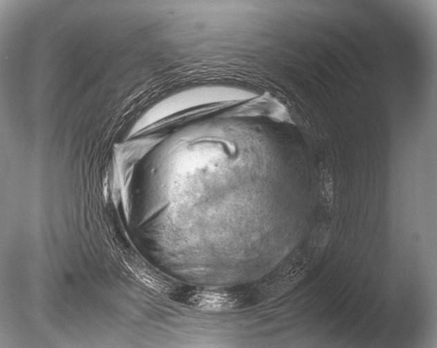 X0000085740507200703301432