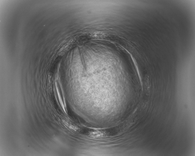 X0000085740511200703301431