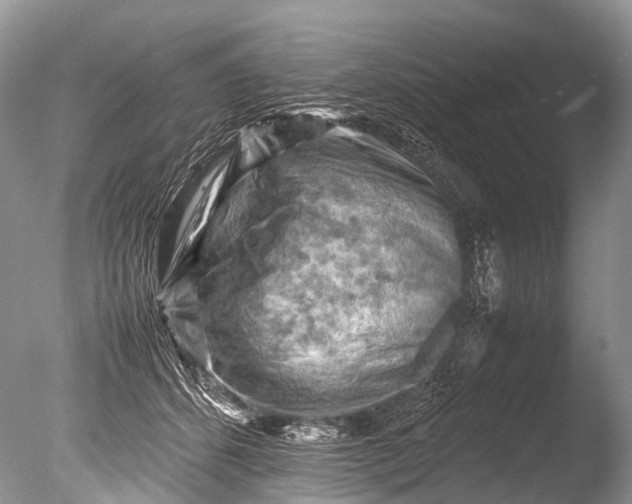 X0000085740512200703301431