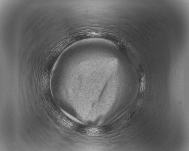 X0000085740513200703301431