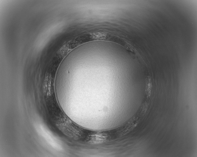X0000085740525200703301431