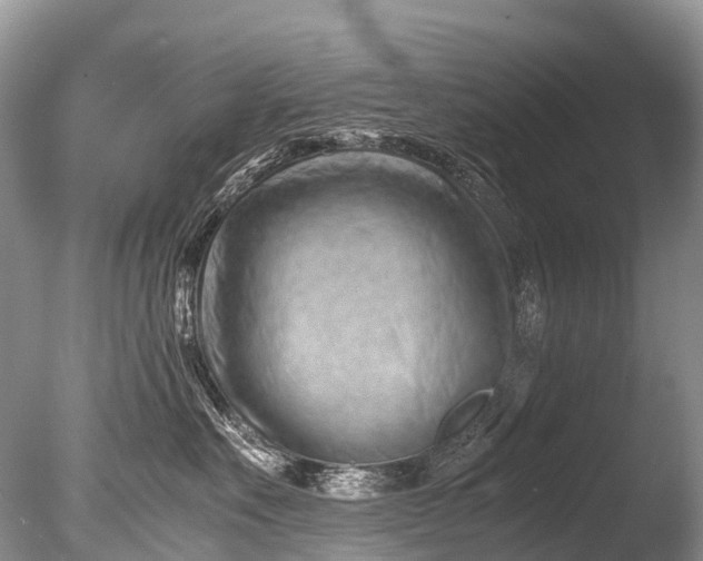 X0000085740527200703301431