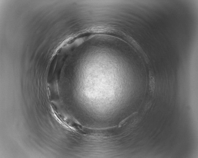 X0000085740530200703301430