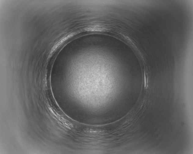 X0000085740531200703301430