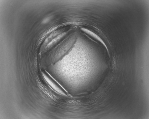 X0000085740535200703301430