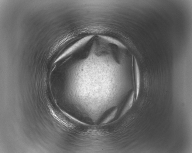 X0000085740538200703301431