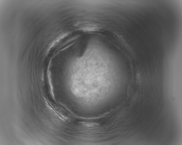X0000085740539200703301431