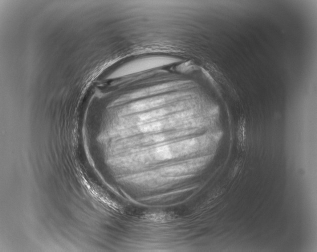 X0000085740540200703301431