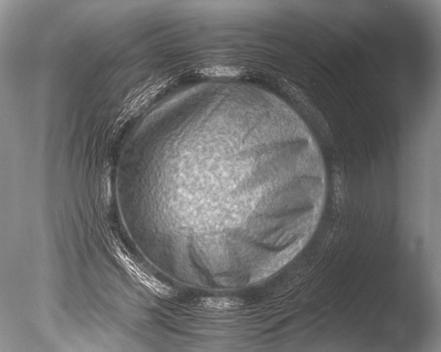 X0000085740541200703301431