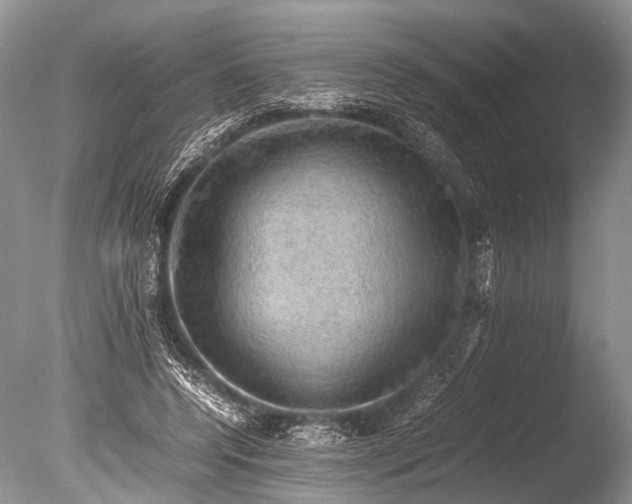 X0000085740544200703301431