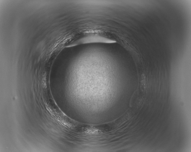 X0000085740547200703301431