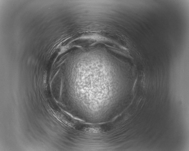 X0000085740548200703301431