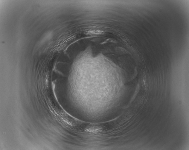 X0000085740551200703301431