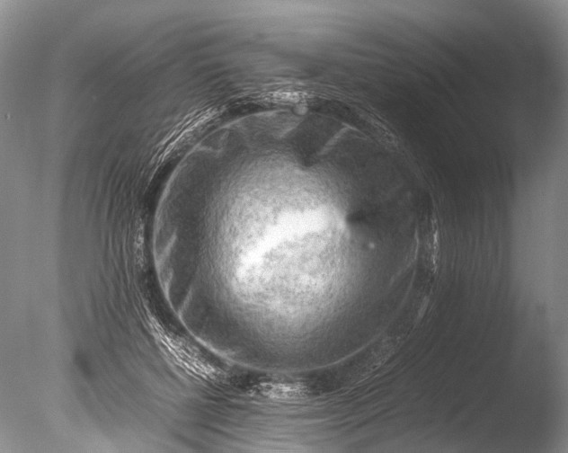 X0000085740552200703301431