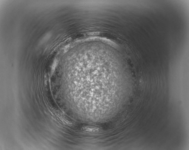X0000085740555200703301431