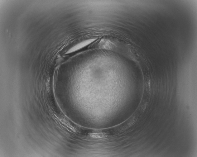 X0000085740556200703301431