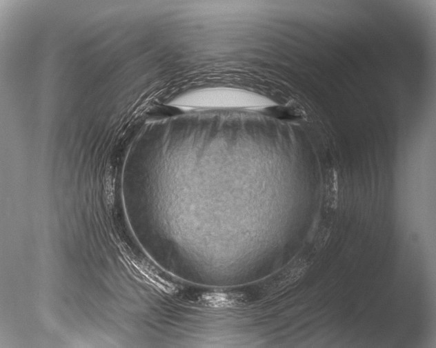 X0000085740558200703301431