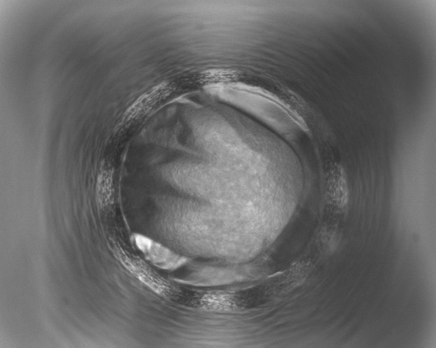 X0000085740560200703301431