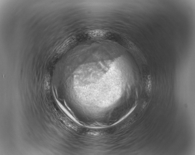 X0000085740561200703301431