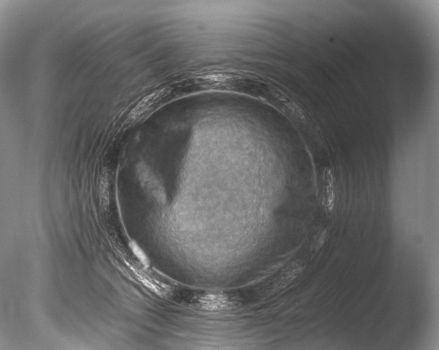 X0000085740562200703301431