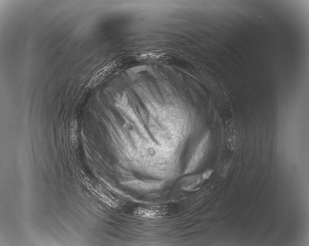 X0000085740563200703301431