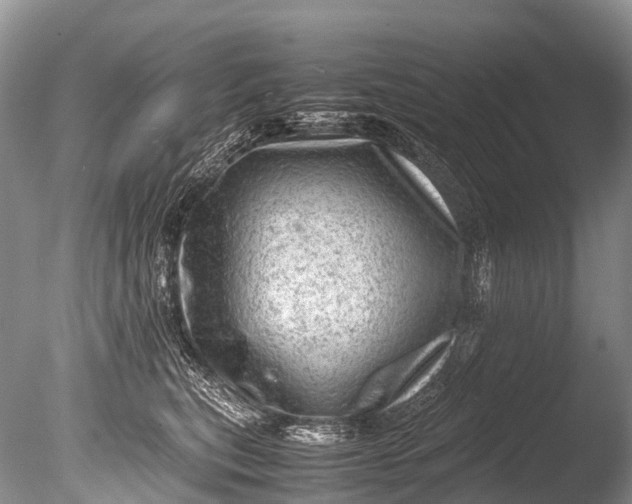 X0000085740567200703301431