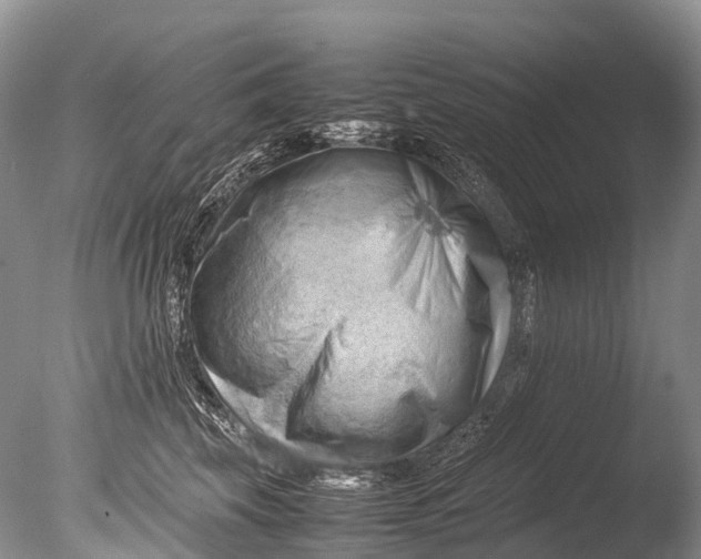 X0000085740569200703301431