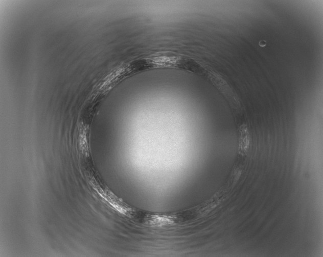 X0000085740573200703301431