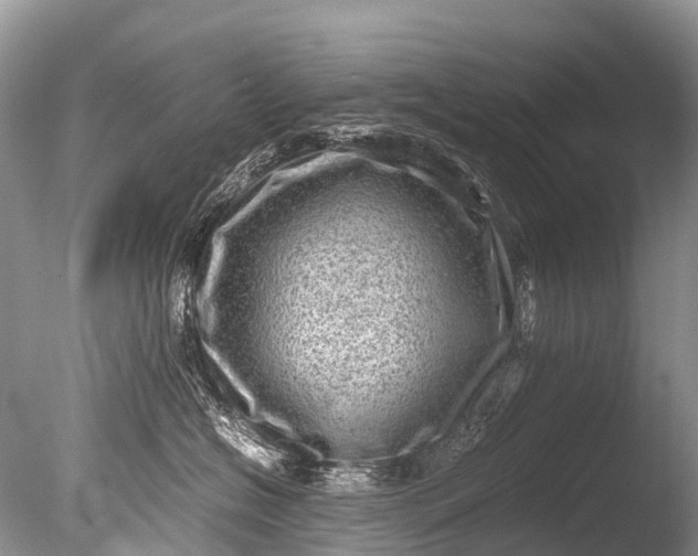 X0000085740574200703301431
