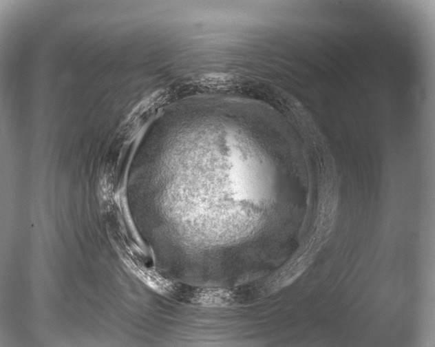 X0000085740576200703301431