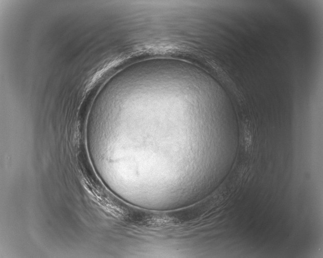 X0000085740583200703301430