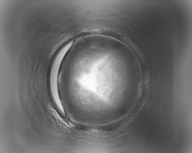 X0000085740585200703301430