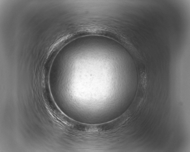 X0000085740587200703301430