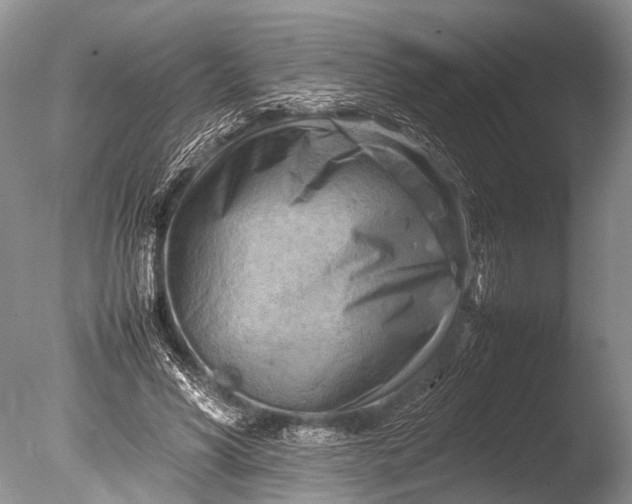 X0000085740590200703301430