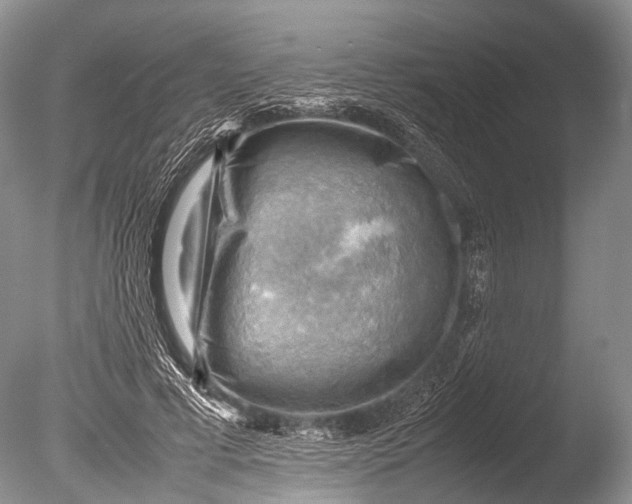 X0000085740593200703301430