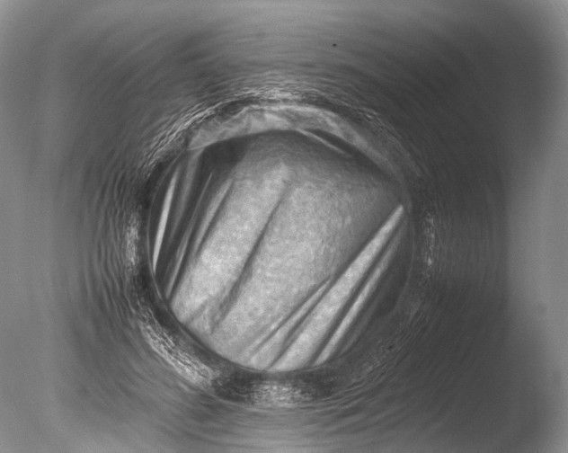 X0000085740596200703301430