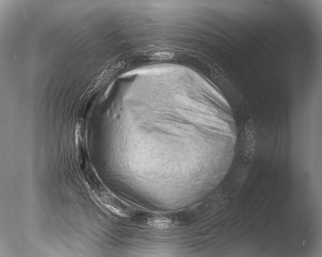 X0000085740598200703301430