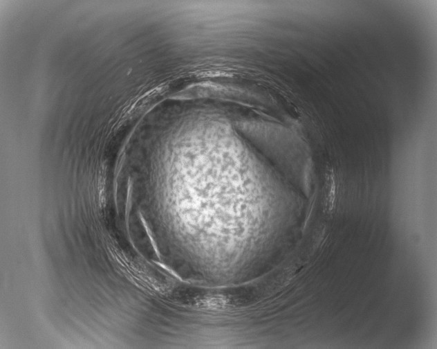 X0000085740600200703301430