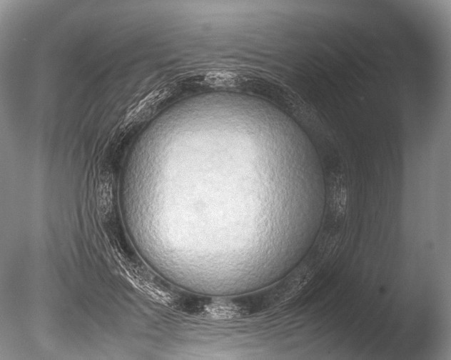 X0000085740603200703301430